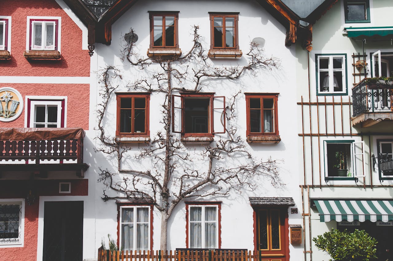 Charming facade of traditional houses in Hallstatt, Austria, highlighting architectural details and climbing plants.